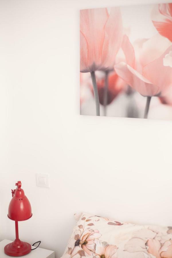 Apartamentos El Paraiso Logroño Exteriér fotografie